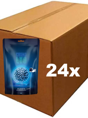 Boîte de 24 sachets de bleuets lyophilisés